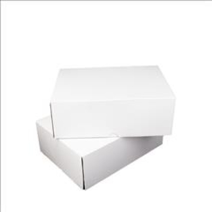 Λευκό Κουτί e-Shop για Παπούτσια με Αυτόματο Άνοιγμα 38x28,5x13,5cm